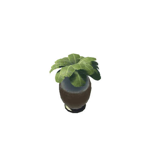 Vase_Plant_05