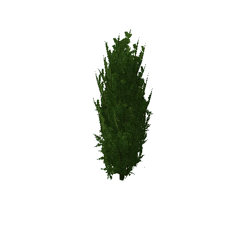 Cedar-LOD0