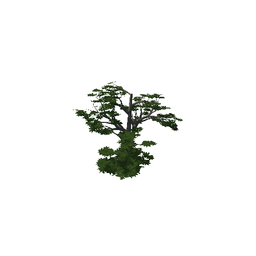 CedarLebanon1_LOD2