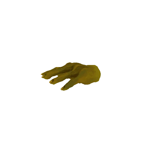 Orc_Hand_L_Unlit