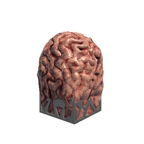 prefabs_brain