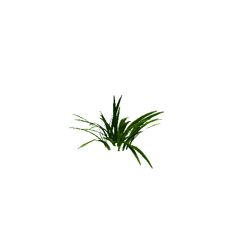 Best_Grass_01