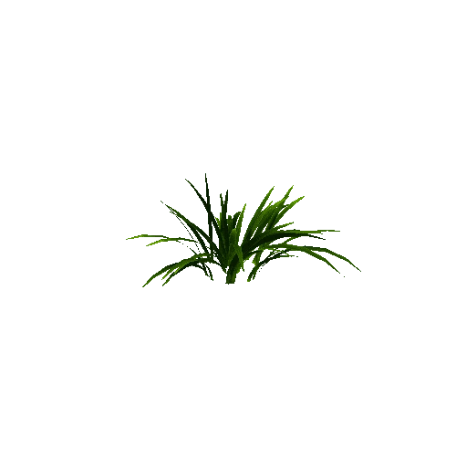 Best_Grass_02