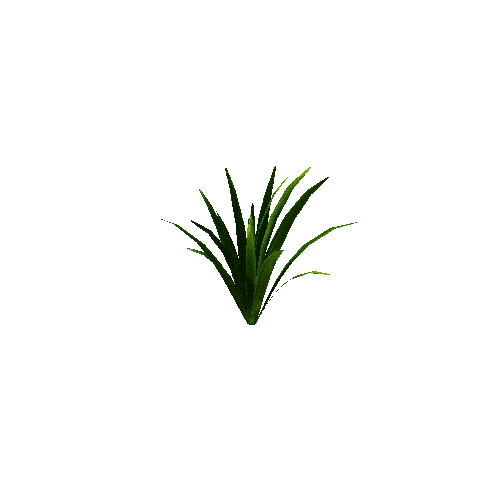 Best_Grass_09