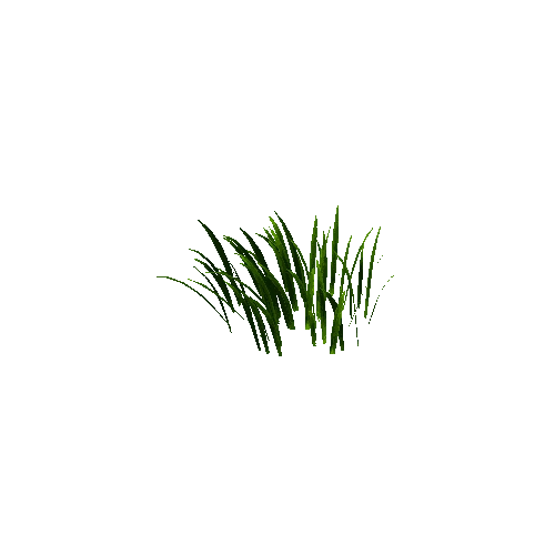 Best_Grass_13