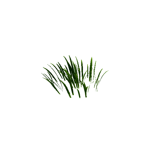 Best_Grass_15