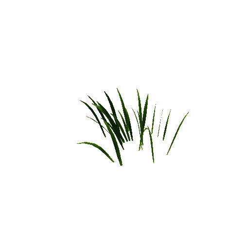 Best_Grass_16