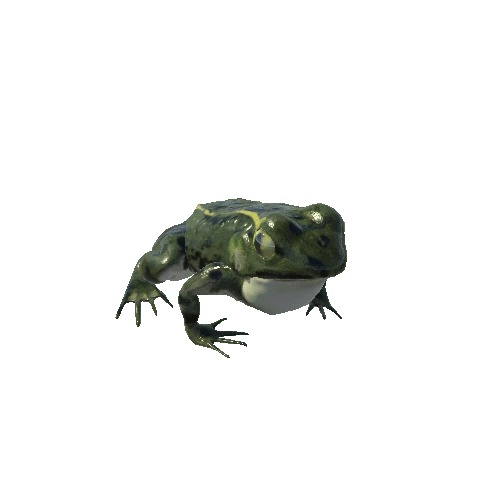 FrogSkin