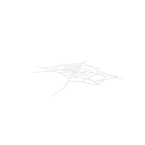 Web_1