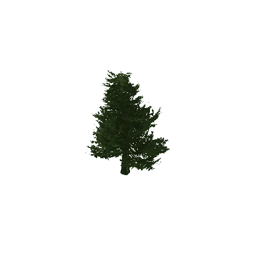 DouglasFir_LOD0