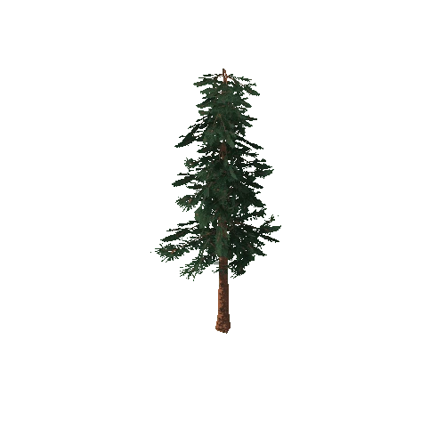 PineSmall