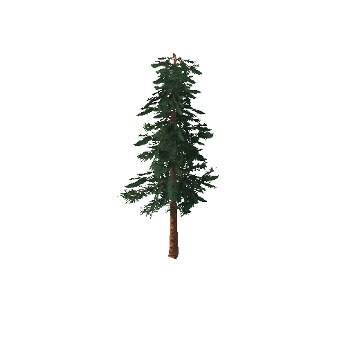 PineSmall_LOD2