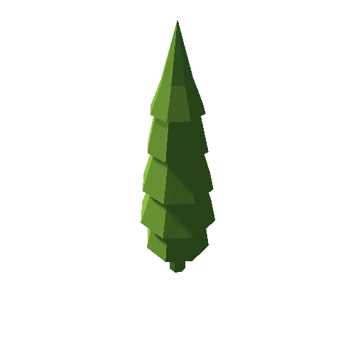 Spruce