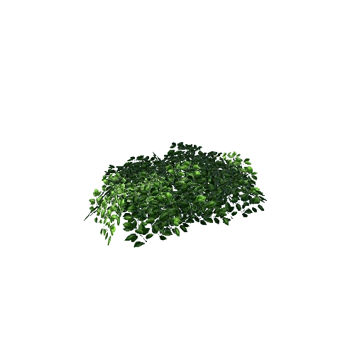 bush1