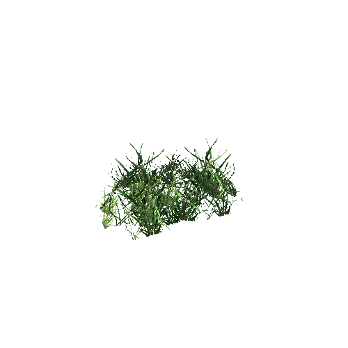 grass1