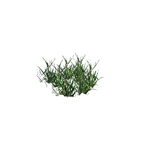 grass2