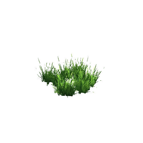 grass4