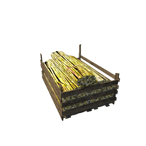 sugarcane1