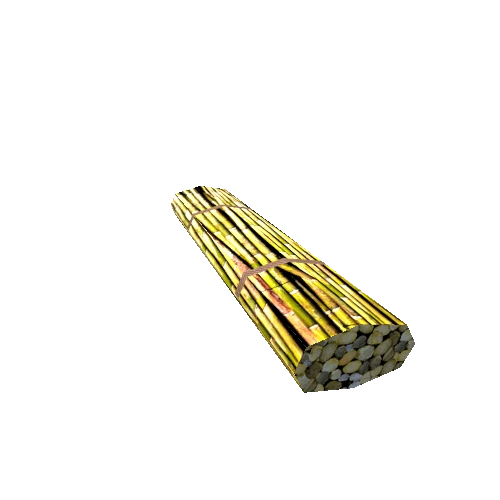 sugarcane2