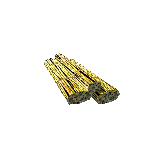 sugarcane3