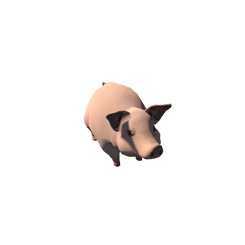 Pig_s3