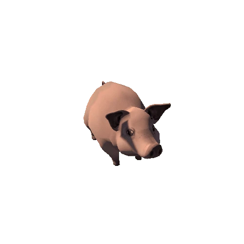 Pig_s8