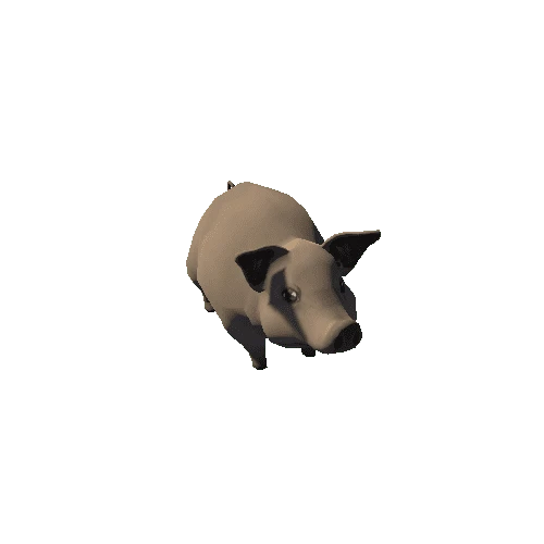 Pig_s9