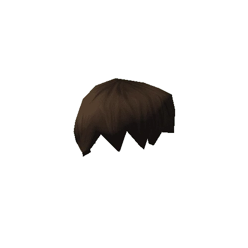 NPC_Hair_001_02