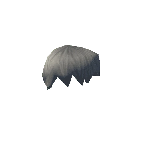 NPC_Hair_001_06