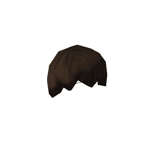 NPC_Hair_003_02