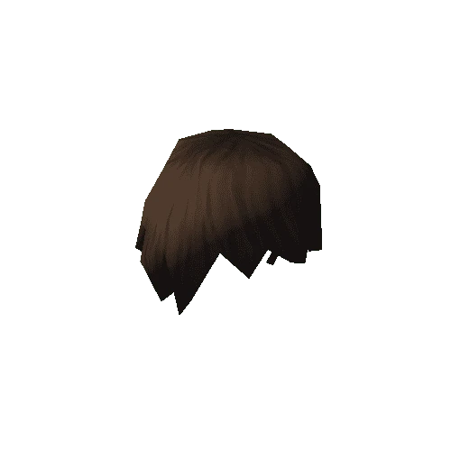 NPC_Hair_005_02