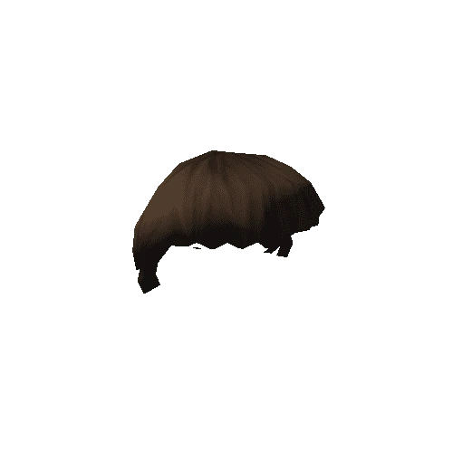 NPC_Hair_006_02