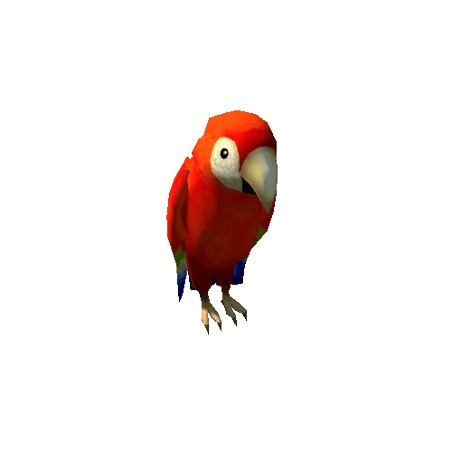 parrot_01