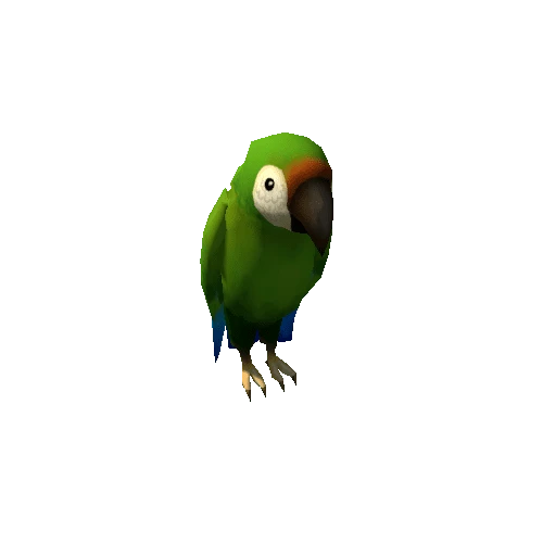 parrot_02