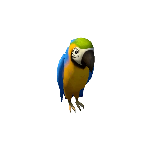 parrot_03