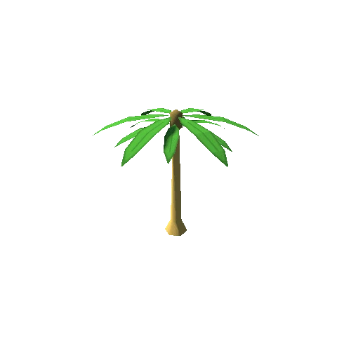 palm