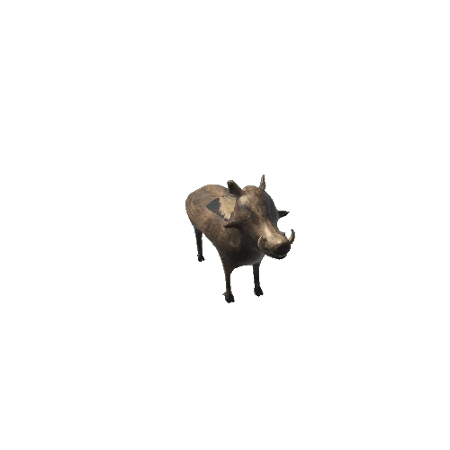 Warthog