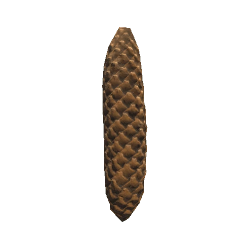 Pinecone1