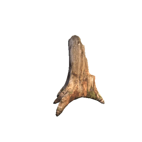 Stump1