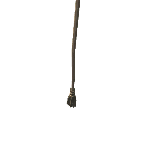 PT_Medieval_Broom_01