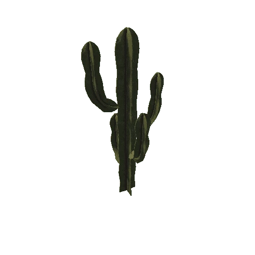 Cactus_03