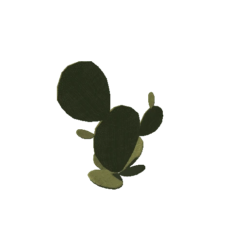 Cactus_04