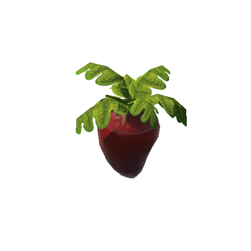 PlantFruit4_2