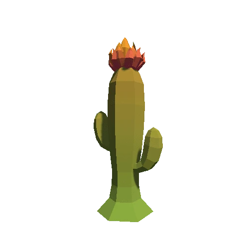 Cactus_A_02