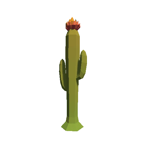 Cactus_A_03