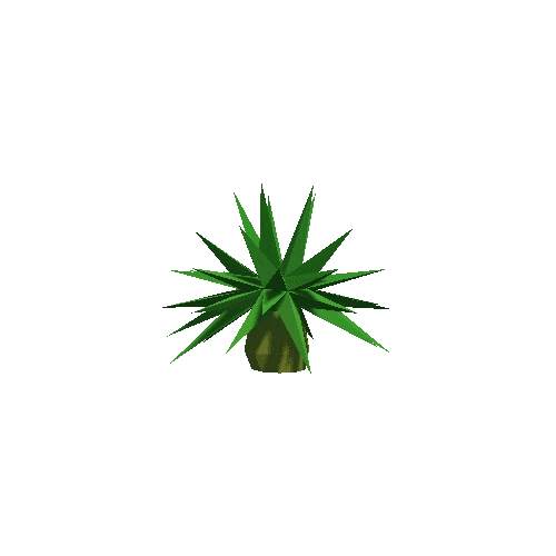 Palm_Tree_A_01