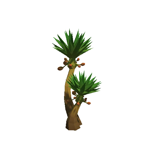 Palm_Tree_A_04