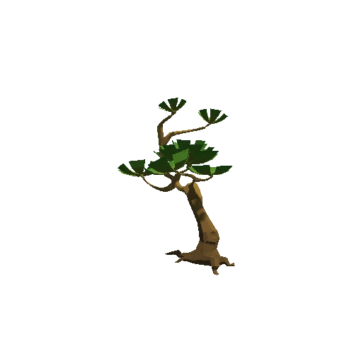 Tree_C_01