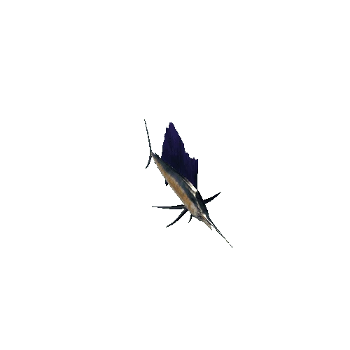 Pacific_sailFish(Legacy)