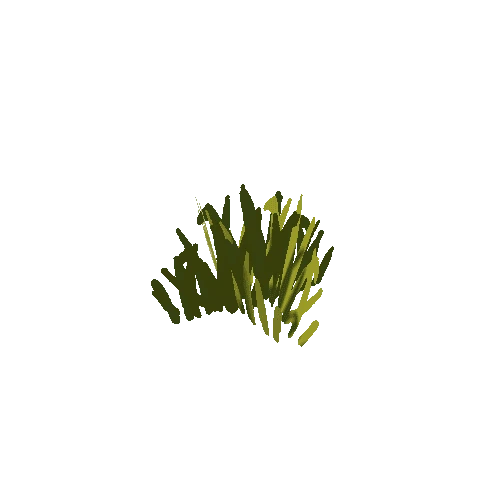 grass_C